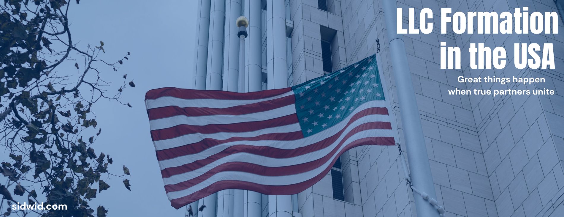sidwid.com llc banner blue new